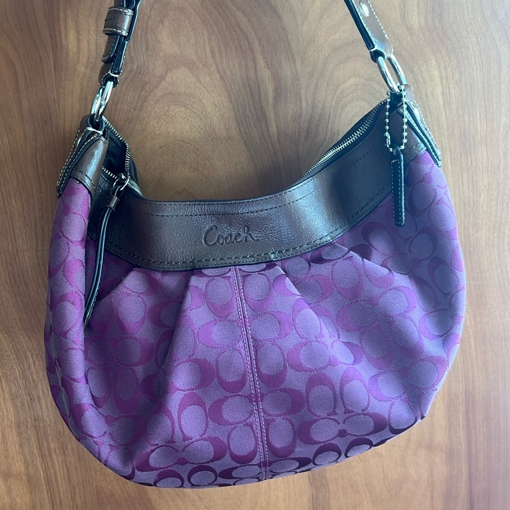 Coach Hobo Bag